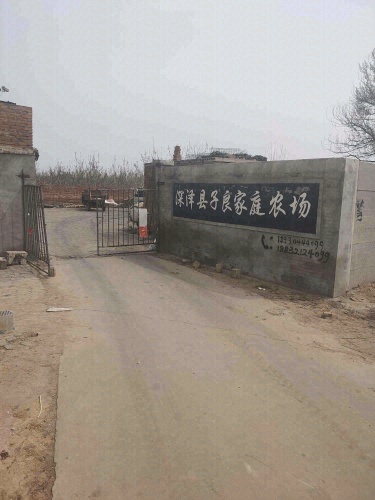 深泽县子良家庭农场