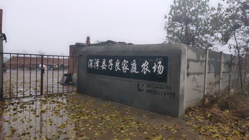深泽县子良家庭农场