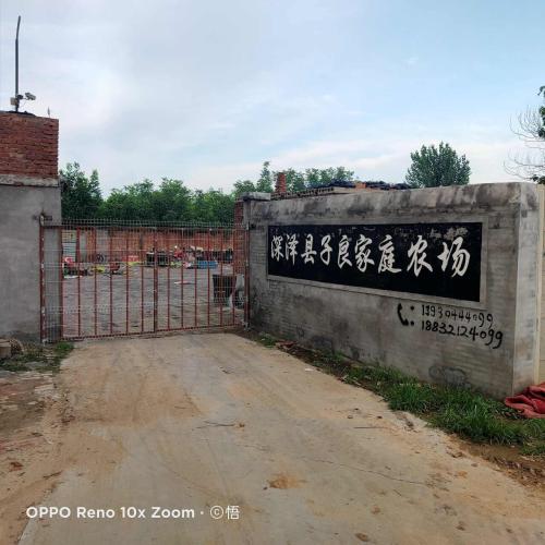 深泽县子良家庭农场
