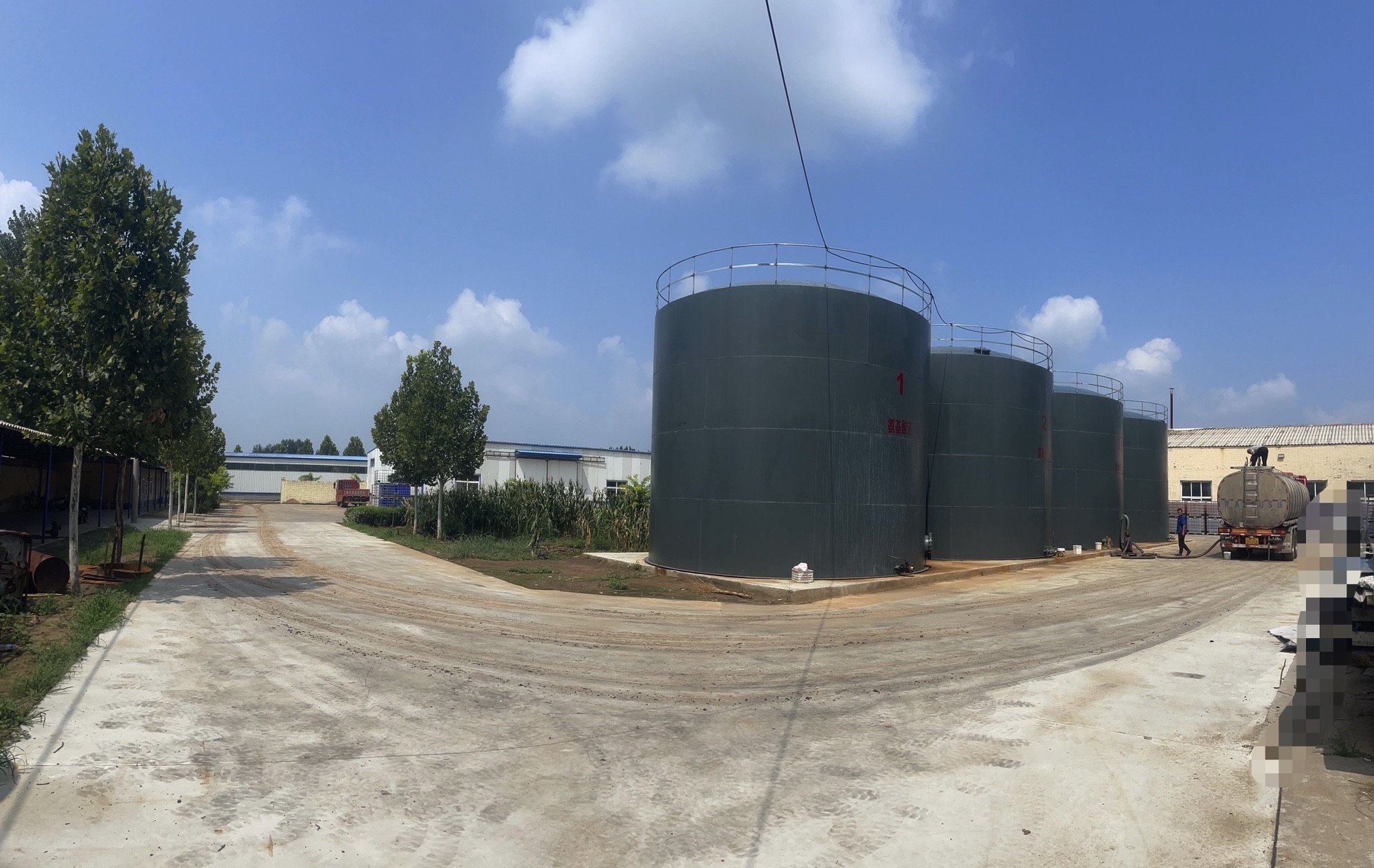 辛集市绿标生物科技有限公司