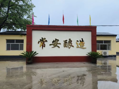 藁城区常安酒厂