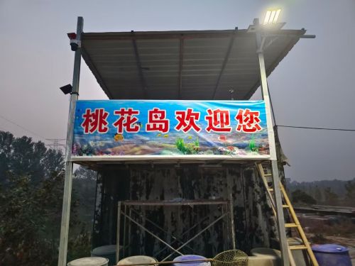 桃花岛垂钓基地