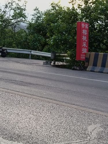 千根村会宾樱桃采摘园