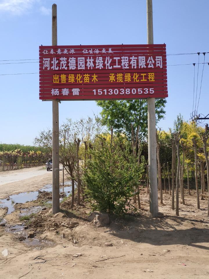 河北茂德园林绿化工程有限公司