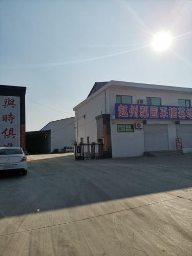 赵县鑫润梨果种植专业合作社