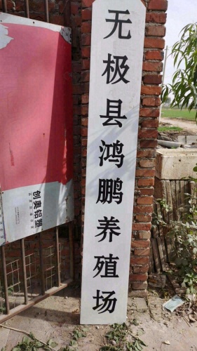 无极县鸿鹏养殖场