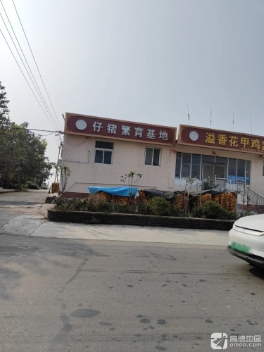 仔猪繁育基地