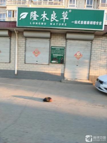 隆木良草亚健康调理中心(中心路店)