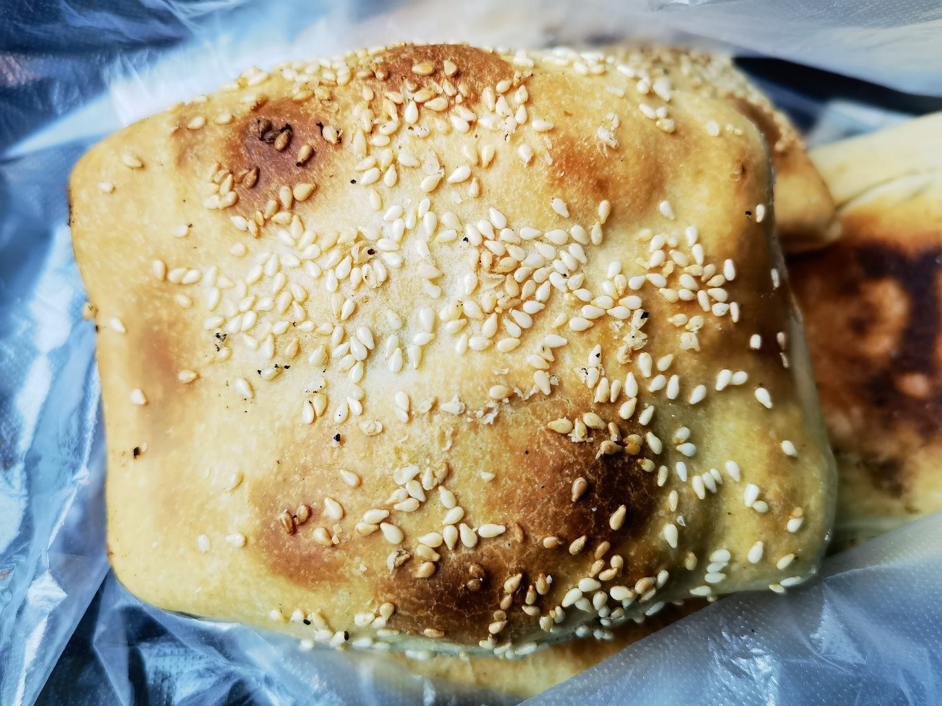 特色肉烧饼