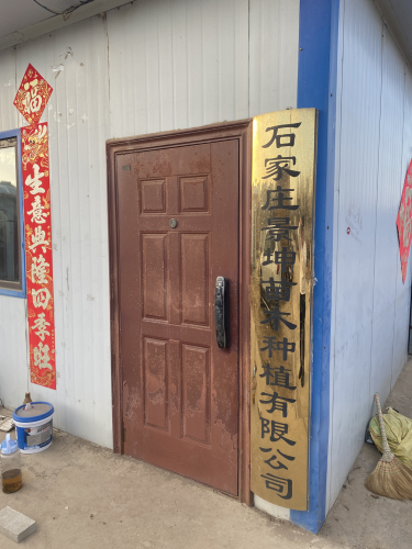 石家庄景坤苗木种植有限公司