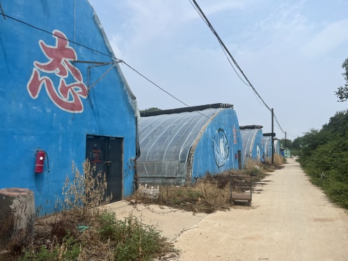 石家庄清静缘生态农业发展有限公司