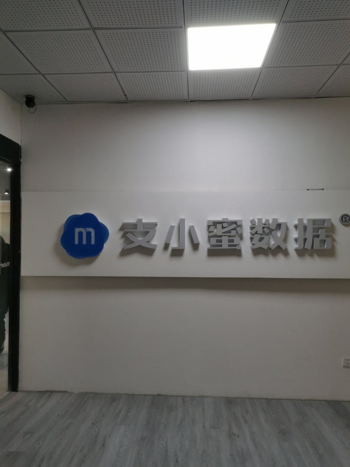 支小蜜数据