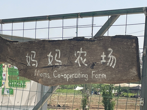 妈妈农庄·烧烤团建·亲子采摘·研学