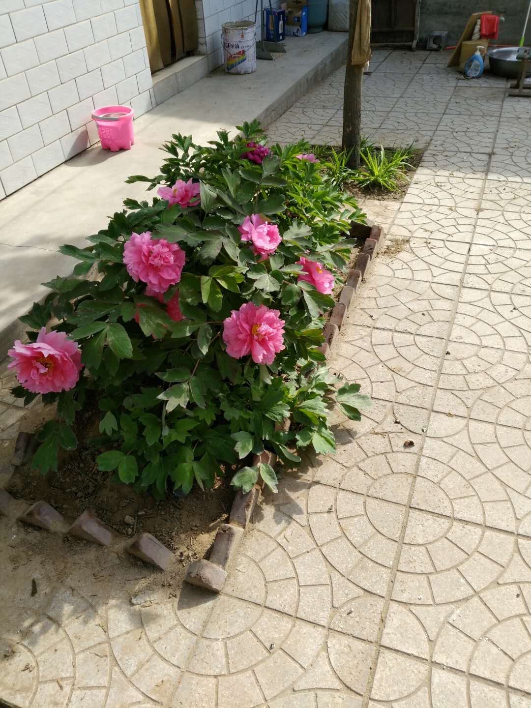 建增木器厂