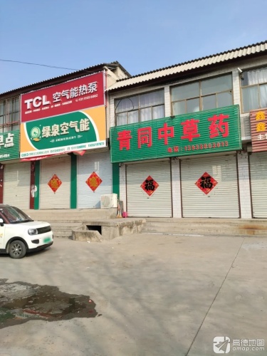 青同中草药