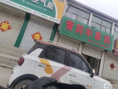 青同中草药