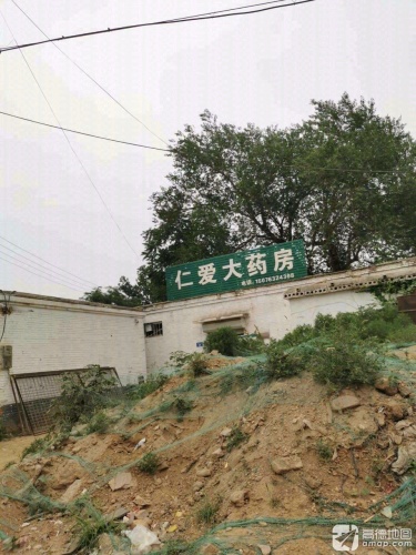 仁爱大药房(009县道店)