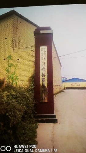 河北省石家庄市灵寿县泰岳矿业