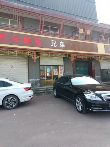 乐乐鲜花