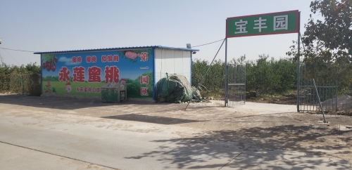 宝丰园采摘