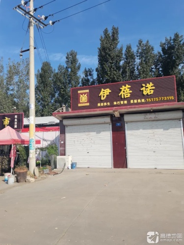 伊蓓诺