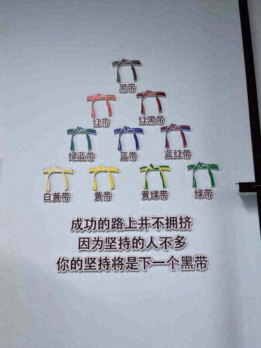 胜蓝跆拳道·洪英馆