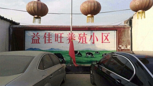 行唐县益佳旺奶牛养殖小区