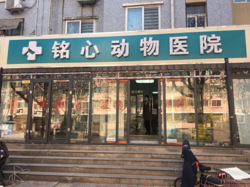 铭心动物医院