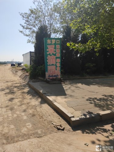 东罗口采摘园