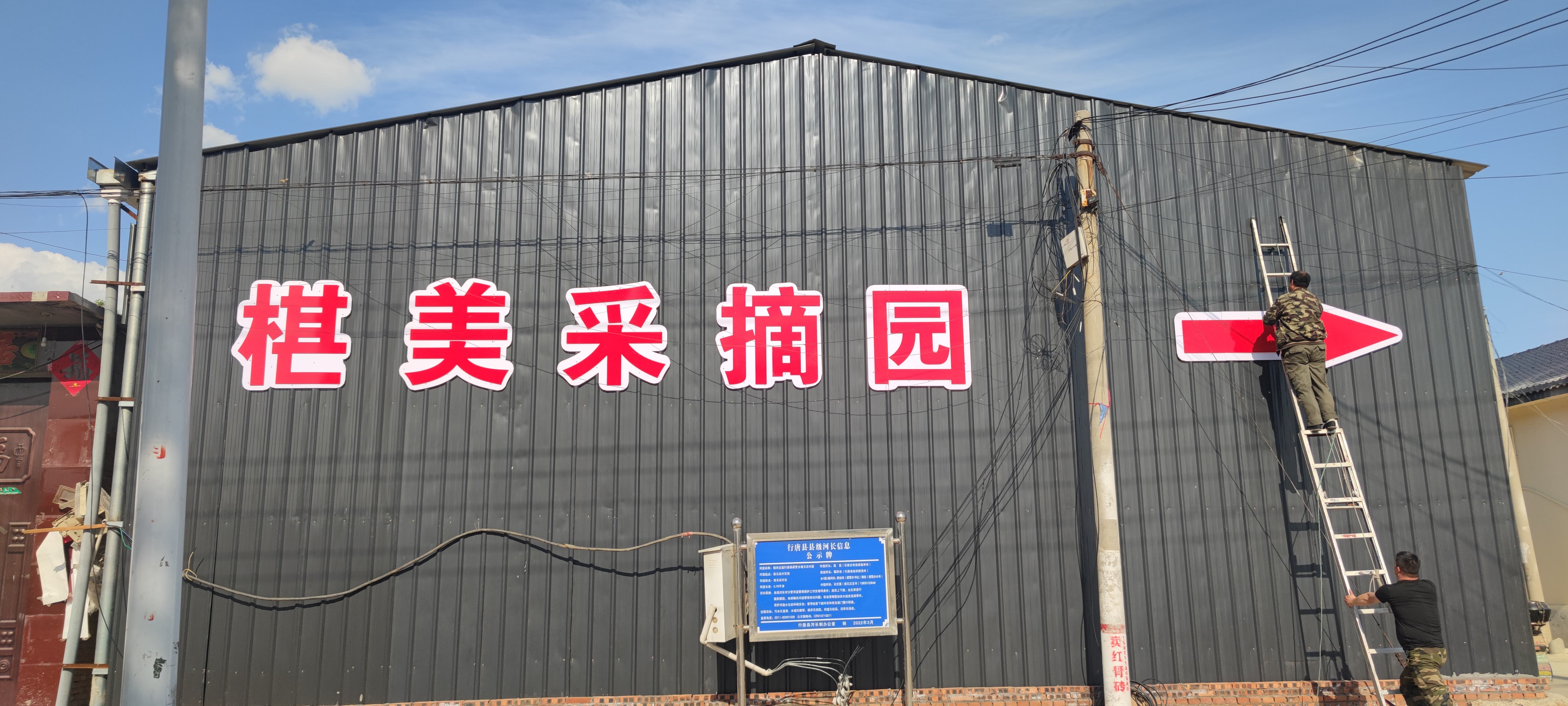 行唐桑葚采摘园