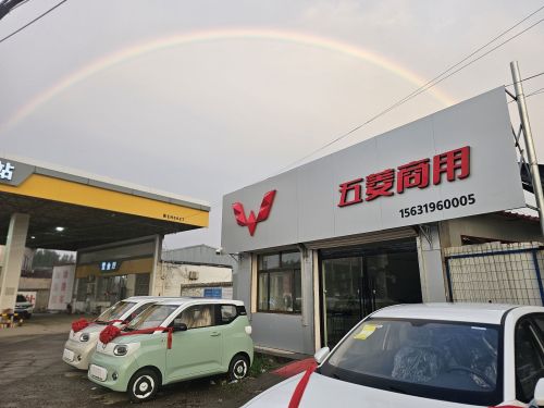 五菱汽车(大陆村店)