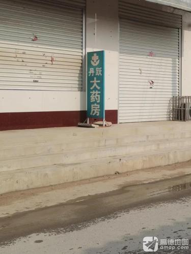 丹跃大药房
