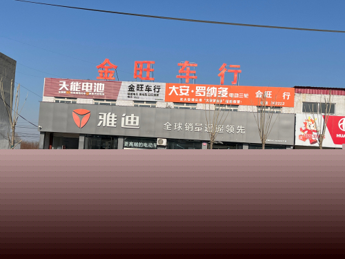 东亭雅迪专卖店(金旺车行)