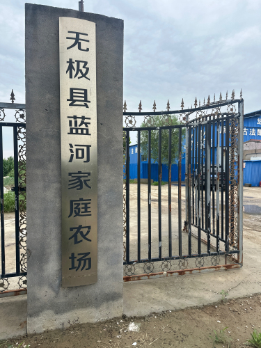无极县蓝河家庭农场