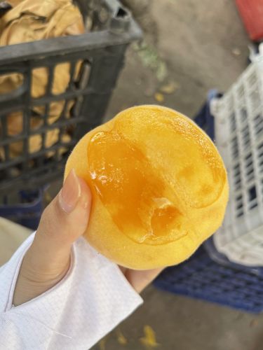 桃园采摘