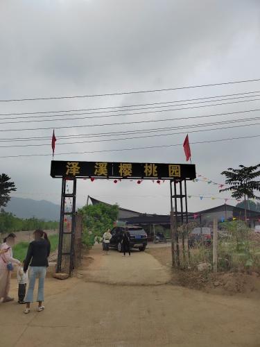 泽溪樱桃园