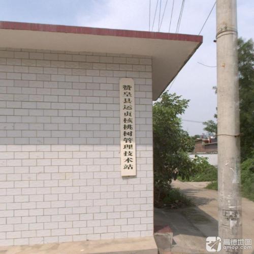 赞皇县运贞核桃树管理技术站