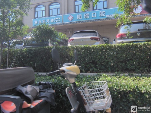 皇家宠物造型美容中心(鹿泉北国店)