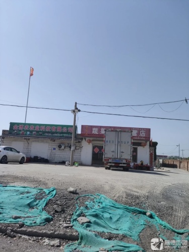 蔬菜种子直营店