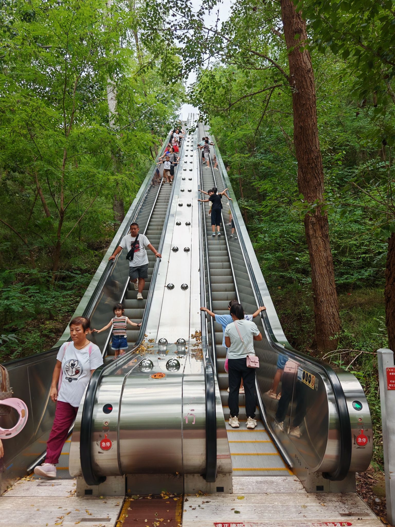 黄金寨原生态旅游区售票处