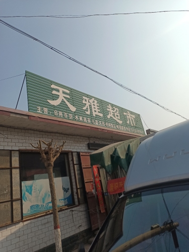 辛集田雅超市
