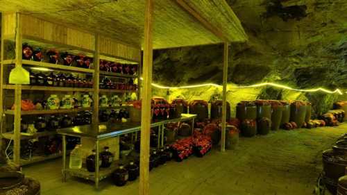 石家庄国都酒业洞藏酒基地