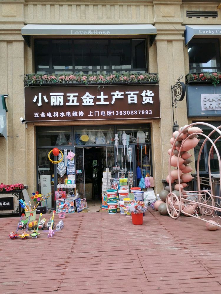 小丽五金土产百货(高远森霖城一区店)