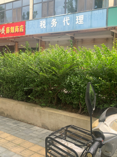 税务代理