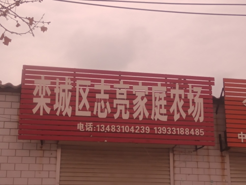 栾城区志亮家庭农场