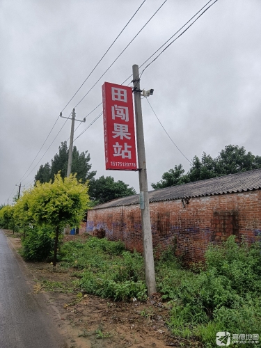 田风闯果品站