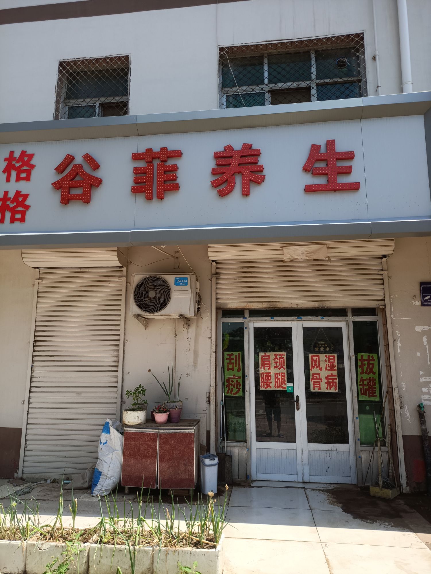 谷菲养生