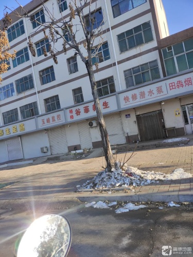 谷菲养生