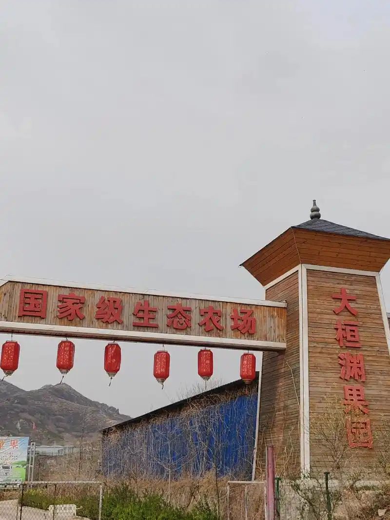 大桓渊果园