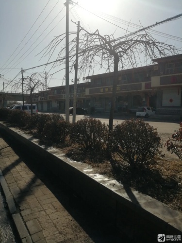 蛤蜊炒鸡